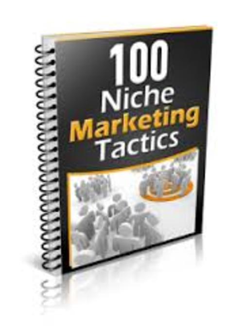 Product picture 100 Niche Marketing Tactics 